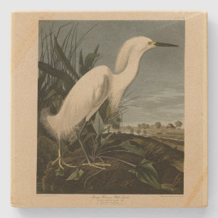 Dessous-de-verre En Pierre Héron de neige (Egret) - Les oiseaux d'Amérique d'