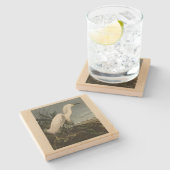 Dessous-de-verre En Pierre Héron de neige (Egret) - Les oiseaux d'Amérique d' (Côté)