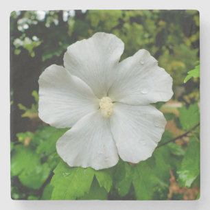 Dessous-de-verre En Pierre Hibiscus