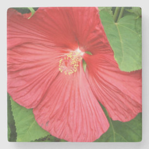 Dessous-de-verre En Pierre Hibiscus Flower Bright Magenta