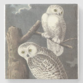 Dessous-de-verre En Pierre Hibou de Milou par Audubon (Devant)