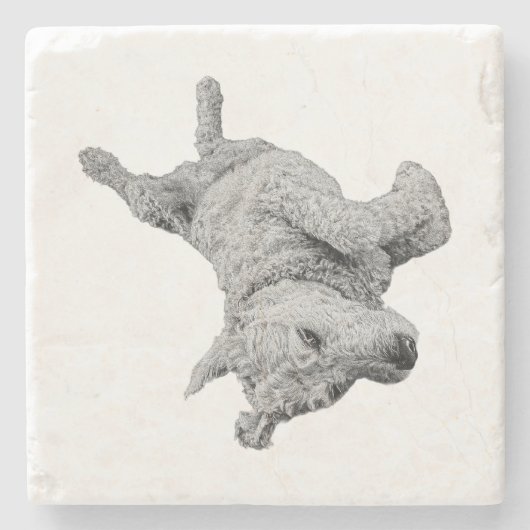 Dessous-de-verre En Pierre Humour au repos (Devant)