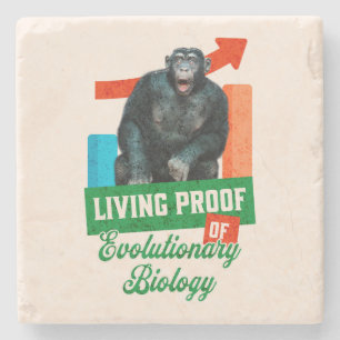 Dessous-de-verre En Pierre Humour de biologie évolutionniste drôle de chimpan