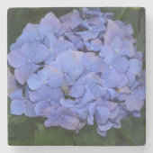 Dessous-de-verre En Pierre Hydrangea macrophylla violette rustique (Devant)
