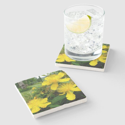 Dessous-de-verre En Pierre Hypericum calycinum (Côté)