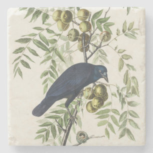 Dessous-de-verre En Pierre Illustration Audubon Black Crow American Bird