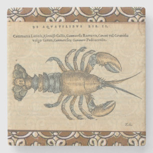 Dessous-de-verre En Pierre Illustration de homard, fruits de mer du Maine