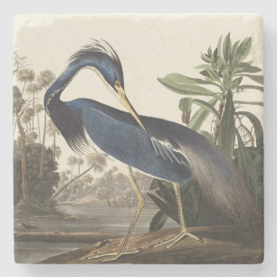 Dessous-de-verre En Pierre Illustration vintage d'Audubon du héron de Louisia