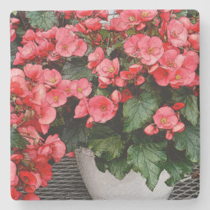 Dessous-de-verre En Pierre IMPATIENS saumon-ROSE EN POT BLANC