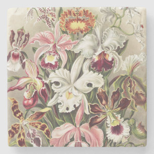Dessous-de-verre En Pierre Impression botanique vintage d'orchidée par Ernst
