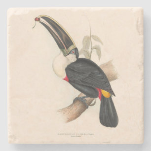Dessous-de-verre En Pierre Impression du Toucan de Cuvier : Oiseau Tropical V
