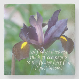 Dessous-de-verre En Pierre Iris