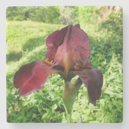 Dessous-de-verre En Pierre Iris à poils (Devant)