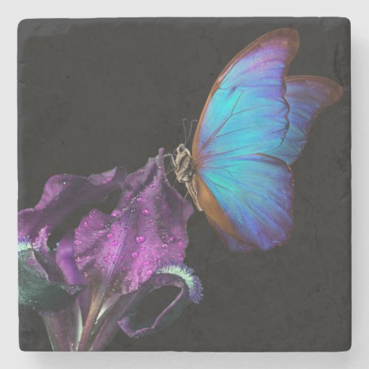 Dessous-de-verre En Pierre Iris et papillon (Devant)
