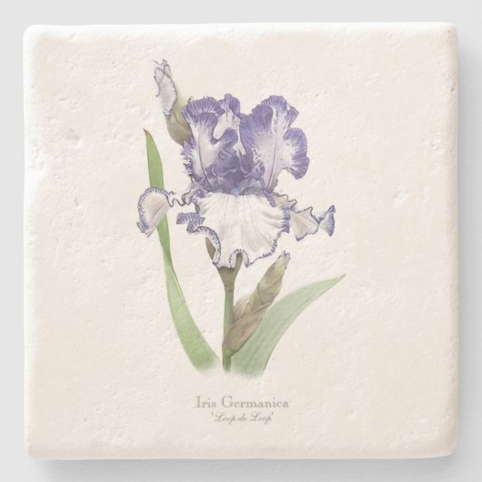 Dessous-de-verre En Pierre Iris pourpre rouillé (Devant)