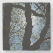 DESSOUS-DE-VERRE EN PIERRE JAMAIS (Devant)