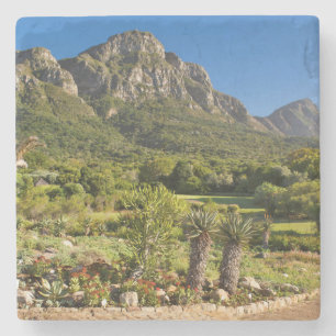 Dessous-de-verre En Pierre Jardins botaniques de Kirstenbosch, Le Cap