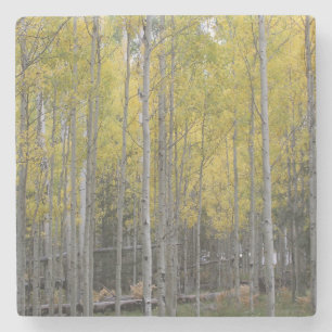 Dessous-de-verre En Pierre Jaune d'Aspen