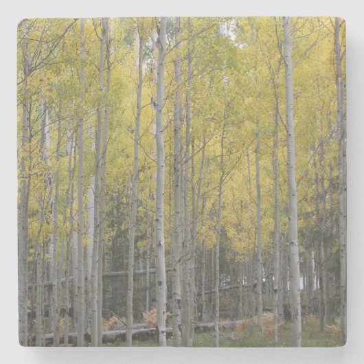 Dessous-de-verre En Pierre Jaune d'Aspen (Devant)