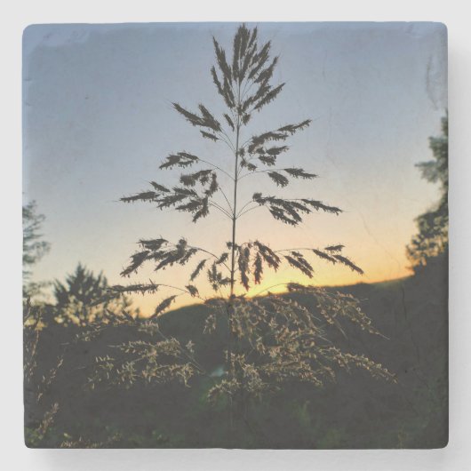 Dessous-de-verre En Pierre Johnson Grass (Devant)