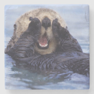 Dessous-de-verre En Pierre Jolie loutre de mer   Alaska, États-Unis