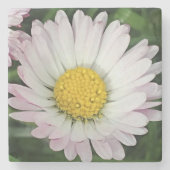 Dessous-de-verre En Pierre Jolie marguerite (Devant)