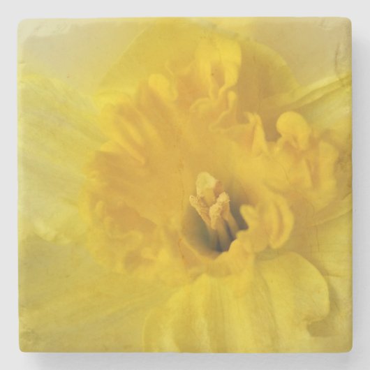 Dessous-de-verre En Pierre jonquille jaune (Devant)
