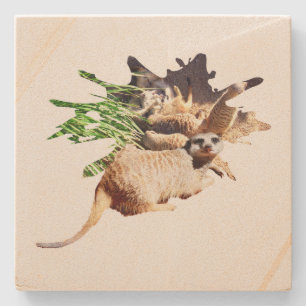 Dessous-de-verre En Pierre Joyeux Meerkat Avec Des Pups,