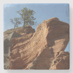 Dessous-de-verre En Pierre Jusqu'à Angels Landing dans le parc national de Zi