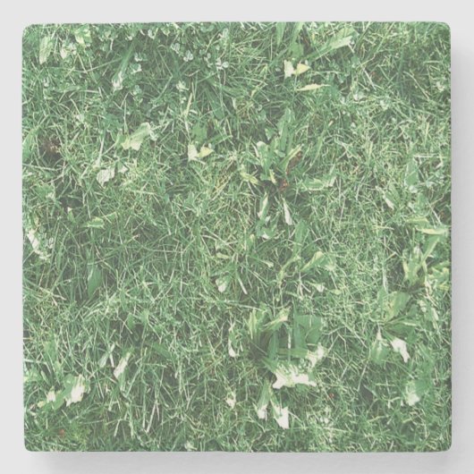 Dessous-de-verre En Pierre Juste de l'herbe (Devant)