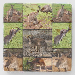 Dessous-de-verre En Pierre Kangaroo Photo Collage,