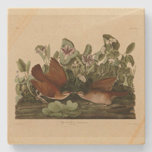 Dessous-de-verre En Pierre Key-west Dove, Quail-Dove Audubon Birds of America