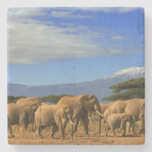 Dessous-de-verre En Pierre Kilimanjaro et éléphants