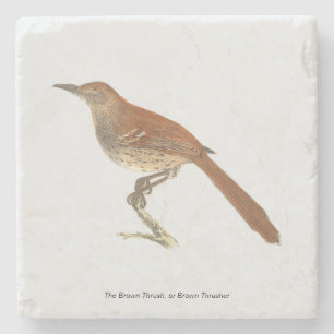 Dessous-de-verre En Pierre La Grive Brown ou le Trasher Brown, New York Birds