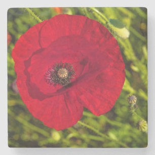 Dessous-de-verre En Pierre La série de pavots #2
