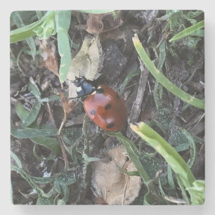 Dessous-de-verre En Pierre Lady Bug
