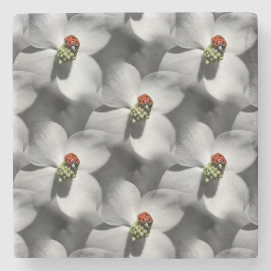 Dessous-de-verre En Pierre Ladybug Sur Dogwood Flower Nature Motif (Devant)