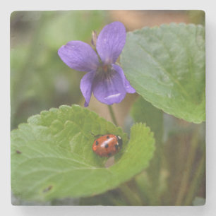Dessous-de-verre En Pierre Ladybug sur les fleurs de violet doux