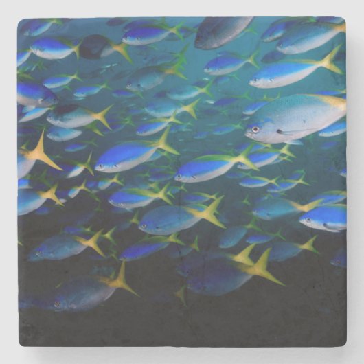 Dessous-de-verre En Pierre Laja Ampat 5 sous-marins (Devant)