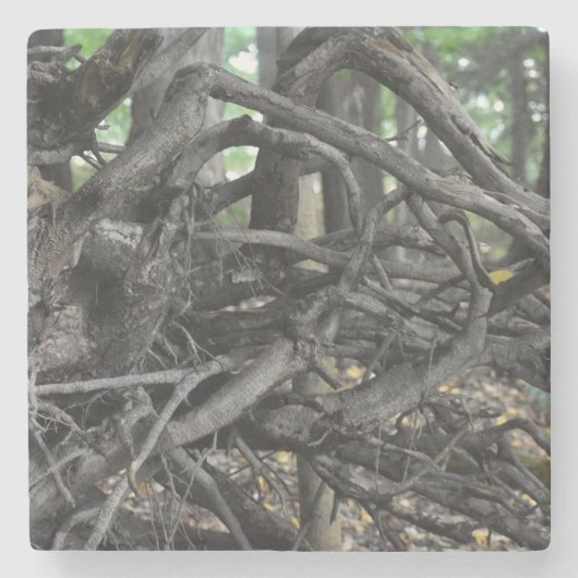 Dessous-de-verre En Pierre L'amour d'un arbre tombé (Devant)