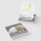 Dessous-de-verre En Pierre Lapins nains de Netherland (Côté)