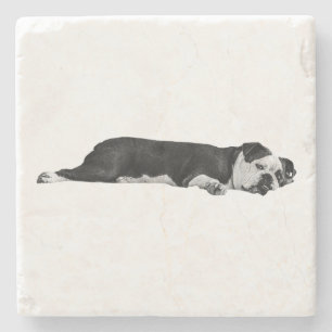 Dessous-de-verre En Pierre Lazy Bulldog, Table nette