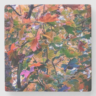 Dessous-de-verre En Pierre Le changement dans les feuilles d'automne