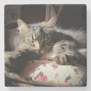 Dessous-de-verre En Pierre Le chat de l'ange grincheux est suspect
