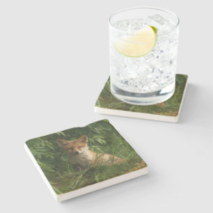 Dessous-de-verre En Pierre Le chou renard dans une forêt verte