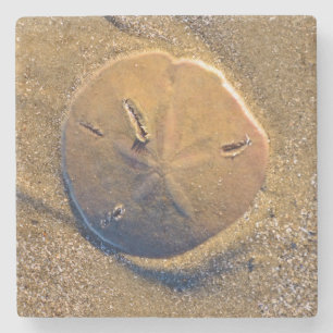 Dessous-de-verre En Pierre Le dollar de sable a indiqué sur la plage Hilto