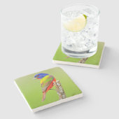 Dessous-de-verre En Pierre Le mâle peint d'étamine (ciris de Passerina) était (Côté)