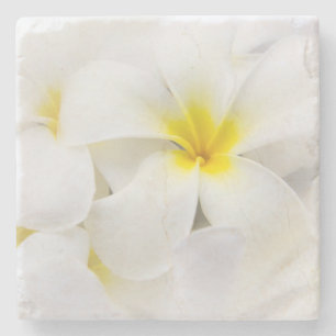 Dessous-de-verre En Pierre Le Plumeria fleurit la fleur florale de Frangipani