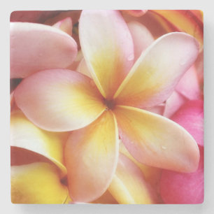 Dessous-de-verre En Pierre Le Plumeria fleurit le Frangipani hawaïen floral