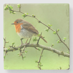 Dessous-de-verre En Pierre Le Robin